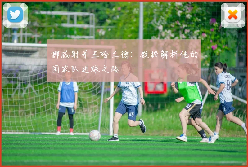 挪威射手王哈兰德:数据解析他的国家队进球之路
