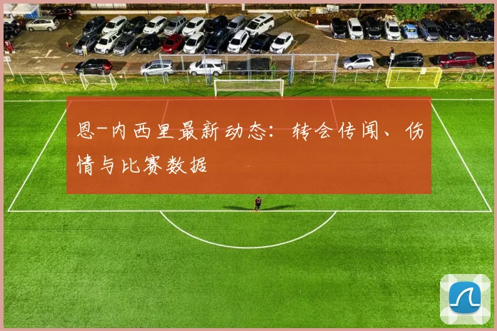 恩-内西里最新动态：转会传闻、伤情与比赛数据